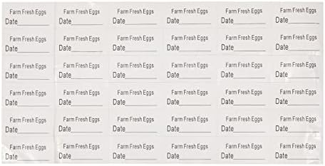 36 Опаковане на Картонени кутии за яйца на Едро могат да се Настанят 10 Кокоши яйца с етикети с датата, Прозрачна Пластмасова Тава