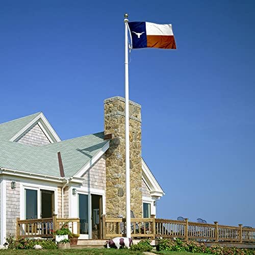 Тексас Лонгхорнс Флаг на щата Тексас