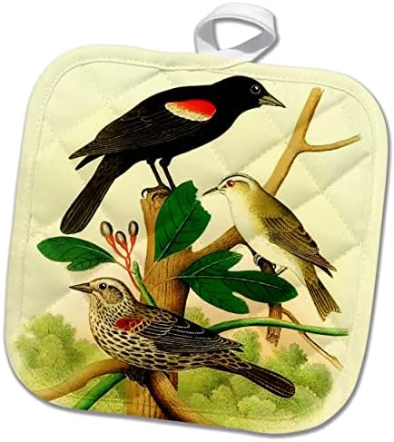 3dRose Винтажное изкуството на птици на пара краснокрылых черни дроздове и красноглазый вирео. - Кухненски ръкавици (phl-364653-1)