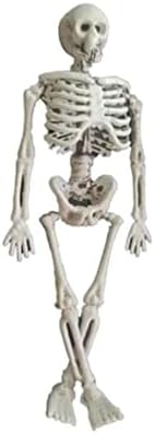 Хелоуин Скелета Подпори Деко Хелоуин Скелет В Реален размер, на Цялото тяло, Ставите, Скелети и Човешки ръце в Реален Размер,