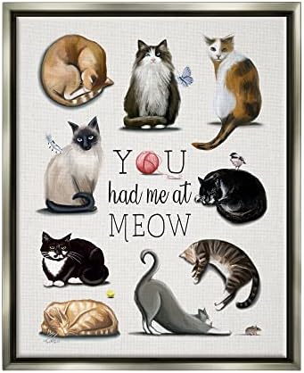 Stupell Industries You Had Me At Meow Котка домашни любимци В Рамка С Плаващ Платно Стенно изкуство, Дизайн Елизабет Тиндалл