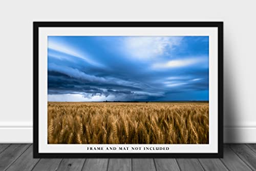 Снимка на Great plains, Принт (без рамка), Изображение на Златния пшеница поле, грозовым небе Пролетта вечер в Канзас Кънтри, Стенен
