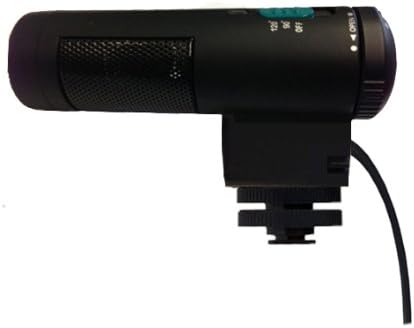 Цифров Стереомикрофон с ЦПУ с предното стъкло (Пушка) за Canon VIXIA HF S20