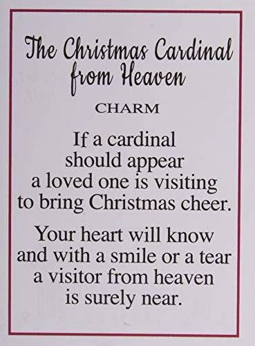 Коледен Кардинал от Небето Чар/ Сиделка на рафта с Карта на Историята