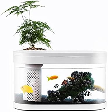 WSSBK Геометричен аквариум за риби, екосистема аквапоники, малка градина, екологичен аквариум за риби, прозрачен аквариум