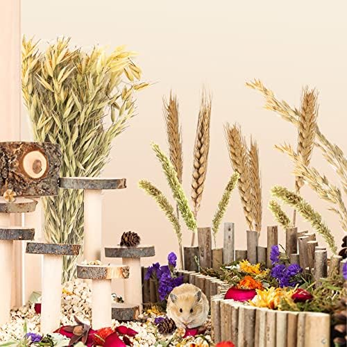NICERINC ПЕТ Натурален Делегираните от зърно Носилка от цветя и билки, Легла за домашни любимци, Декор за околната среда, Добавяне