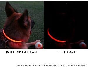 Като се качва на кучето 4-Защитен Защитна яка с осветление през нощта - Оранжево, L (16 -20)
