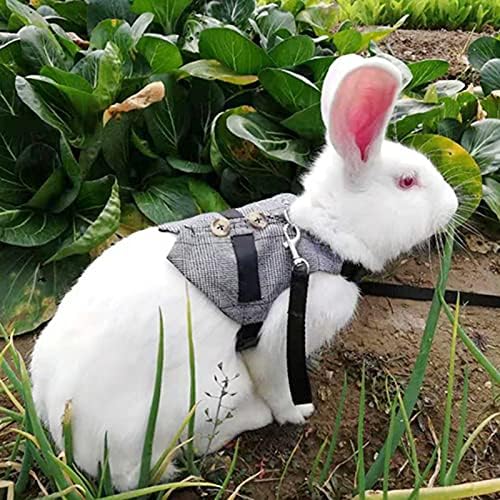 Костюм жилетка с заек Putybudy - Модерен, Удобен костюм-шлейка със заек и каишка, един Сладък комплект жилеток със заек и каишка с бутони, за малки животни, котки, кучета -