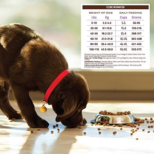 Суха храна за кучета Holistic Select Natural Беззерновой, с Пуешко и Леща Рецепта, 24-Фунтовый Пакет
