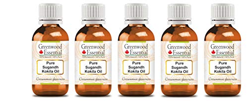 Етерично масло зелено дърво Сугандх Кокила (Cinnamomum glaucescens) Натурално лечебно (опаковка от пет броя), 100 мл х 5 (16,9 унция)