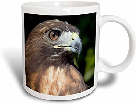 Керамична чаша 3dRose mug_70329_1 USVI, Sainte-Croix, краснохвостый ястреб птица-CA37 AJN0035 - Алисън Джоунс, 11 грама,