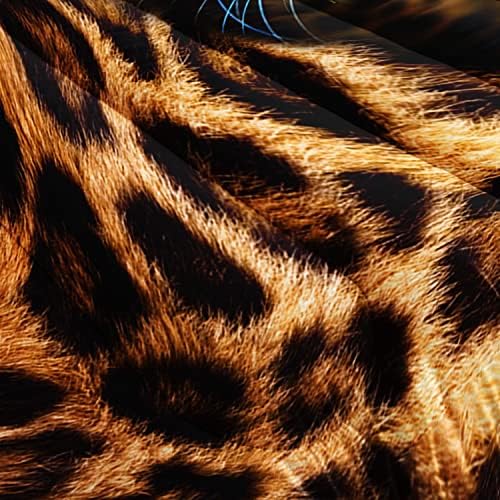 BailiPromise Леопардовое Спално Бельо, Стеганое одеяло с 3D Модел на един Леопард, Стеганое одеяло с изображение на Леопард, Комплект