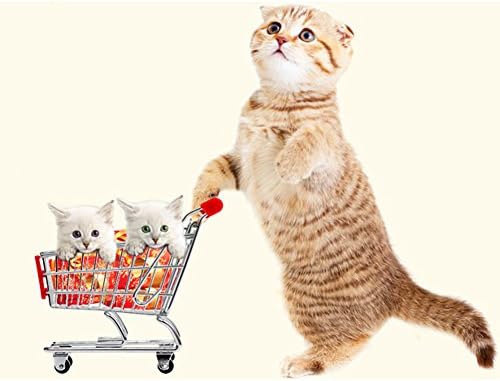 JJ Store Мини-Количка за пазаруване в Супермаркет, играчка-Количка, Кутия за съхранение в Домашния Офис, Детската Птица, играчка за домашни любимци, Папагал - Случаен цв