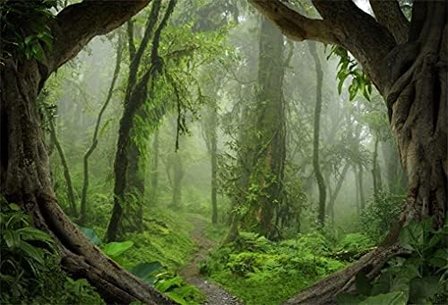 AOFOTO 5x3 фута Горски Фон Тропически Джунгли Тропическа гора Фонове, за Снимки на Приказни Непрозрачно, Тъмно-Зелени Дървета,