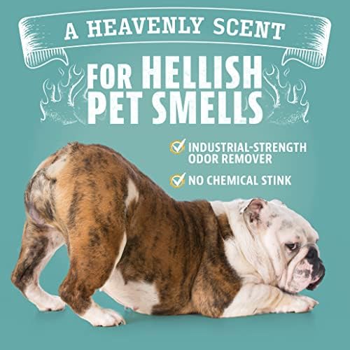 Средство за отстраняване на силни миризми от домашни любимци ANGRY ORANGE - Опаковка от 2 Цитрусови дезодоранти за премахване на миризма