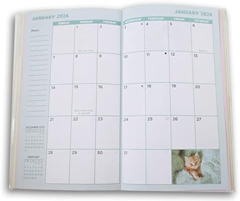 Миниатюрен Месечен дневник Jot Scenic е 2 години на 2023-2024 години (Котенца)