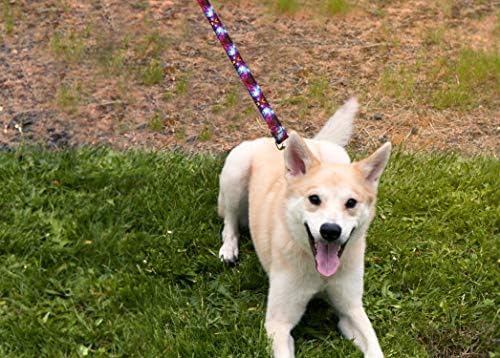 Moose Пет Носете Deluxe Dog Leash - Тежки каишки за домашни любимци с модел, направени в САЩ, в размер на 1 инч х 6 метра, Тики-зелен