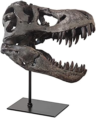 Череп Тираннозавра, Кост от Динозавър, Реплика на Главата от Смола, Скулптура с монтиране на стена, модул за Обучение Скелет Тираннозавра,
