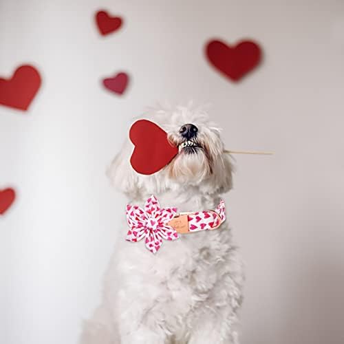 2023 Нов Нашийник за кучета в Деня на Свети Валентин с Цветна Вратовръзка-Babole Домашни любимци, Бяло-Червен Нашийник за кучета