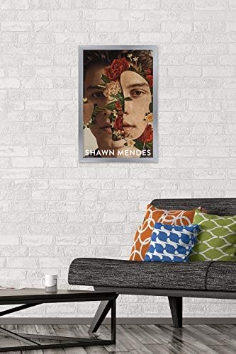 Trends International Шон Мендес - Цветен Плакат на стената, 14,725 x 22,375, premium версия без рамка