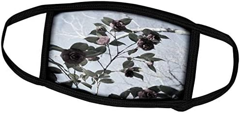 3D Нежна красота рози - това е снимка на цветя камелия, лишени от цветни обложки за лице (fc_212068_1)