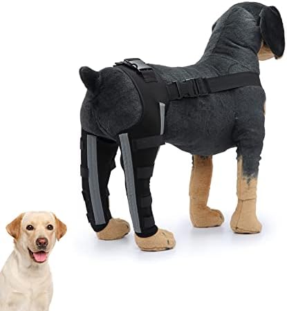 Бандаж за задните крака на Кучето QingYi, Регулируема Наколенник за Кучета с метални Пружинна опора и Светлоотразителен Каишка, Двойна Опора за Задната част на кракат
