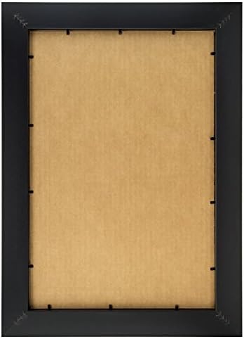 Рамка за плаката Craig Frames 7171610BK размери от 16 на 24 инча, украса под елхата, ширина 0,825 инча, Однотонно-черна