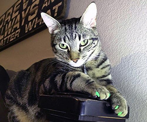 Purrdy Paws Годишна доставка на Меки Капачки за нокти за котки Green Glitter Kitten - Допълнителни Лепила