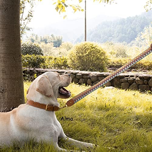 Каишка за кучета MINO дължина 4 метра, изработен от устойчив плетеного колани, украсени с парчета естествена кожа, свързан антиоксидант катарама,