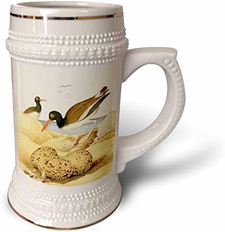 Триизмерна илюстрация на старата птица-ловеца на стриди с участието на морски птици. - чаша за стейна на 22 унция (stn-364685-1)
