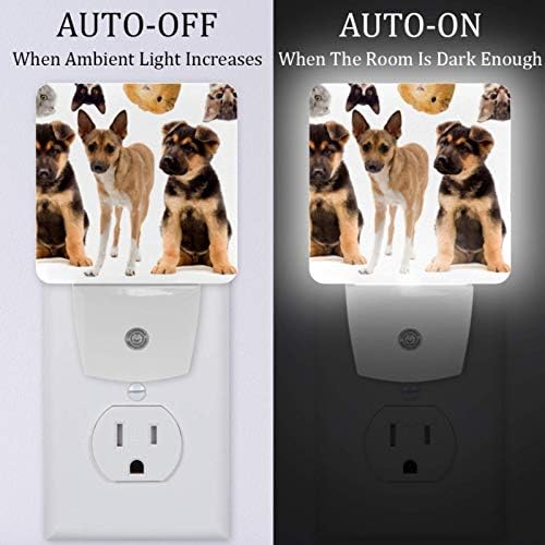 2 Опаковки Led нощна светлина с Автоматично захранване/выключением, Определени за кучета, котки, домашни животни, идеални за Спални,