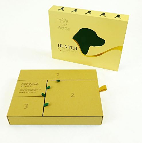 Луксозен комплект греди за кучета Hunter - Тъкани яка от коноп и каишка за куче - Обков от 24-каратово злато - Каишка за кучета 6 в 1