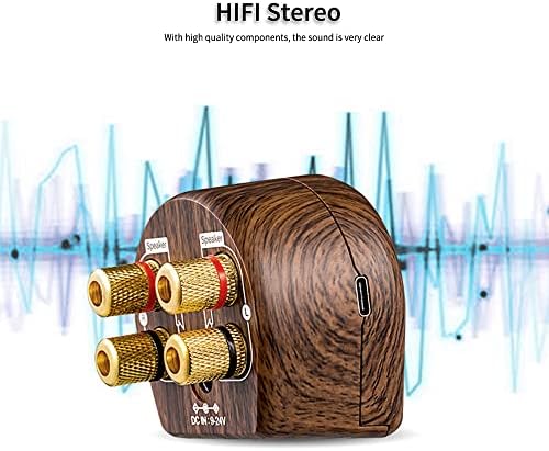 Стереоусилитель Безжична Bluetooth Little Amp Сладко HD Surround Sound Бас Говорител с 3.5 мм AUX-кабел и USB кабел