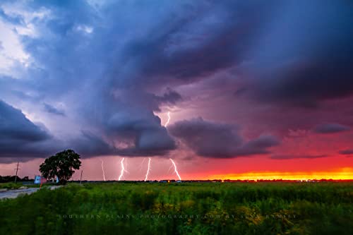Снимка на буря, Принт (без рамка), Изображението на няколко светкавици по залез слънце ненастным лятна вечер в Оклахома,