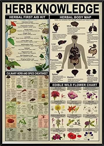 Познаване на билки Метален Плакат Билкова Карта на Тялото Метална Лидице Знак Ферма Училище, Кафенета, Спалня, Баня Кухня,