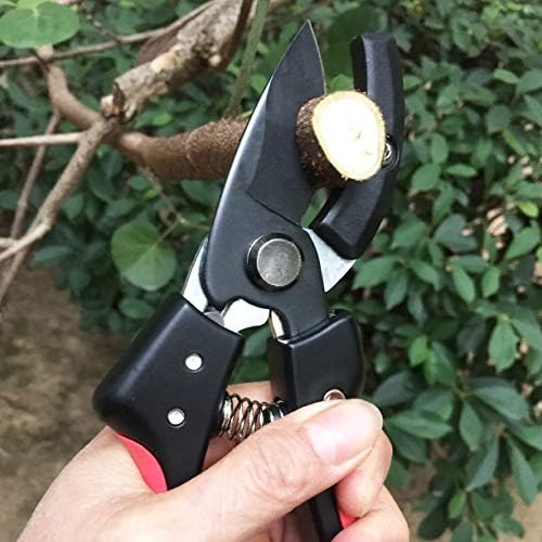 Професионални ножици за подстригване наковалня със стоманени остриета Gonicc 8 SK-5 (GPPS-1010) и сгъваем ръчен трион с 9,4-инчов,