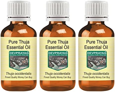 Devprayag Чисто етерично масло туи (Thuja occidentalis) Парна дестилация (опаковка от три броя), 100 мл х 3 (10 унции)