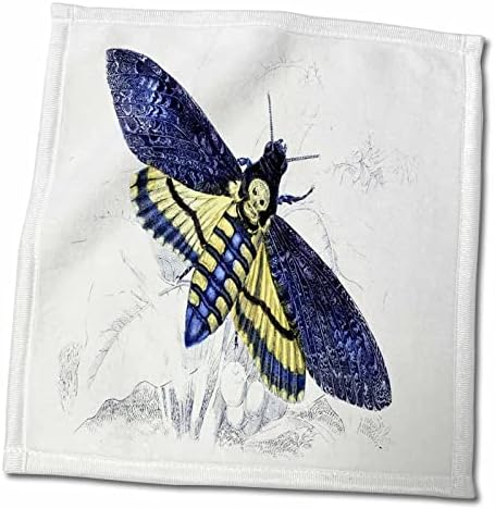 3dRose Florene Vintage - Синя Пеперуда С Черепа - Кърпи (twl-62124-1)