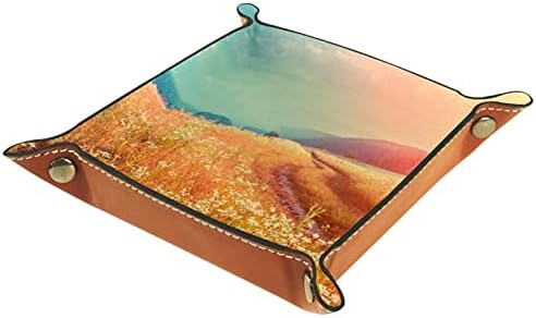 Фантастична Мъгливо Река с Прясна Трева на Слънчева Светлина, Кутия За Съхранение на Нощни Тенис на Тава Чантата си за Дреболии