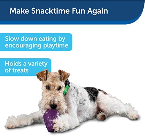 Яки Busy Buddy Катерица Пич, Интерактивна Играчка За Кучета с Занимаващи Лакомствата - Дъвка Играчка за Куче от Среден Размер
