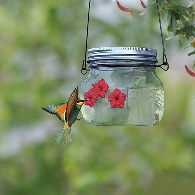 2 опаковки, А за колибри в стъклен буркан с дупки за хранене на цветя за Външно Подвесного украса на Двора, Дизайн Прозрачен резервоар