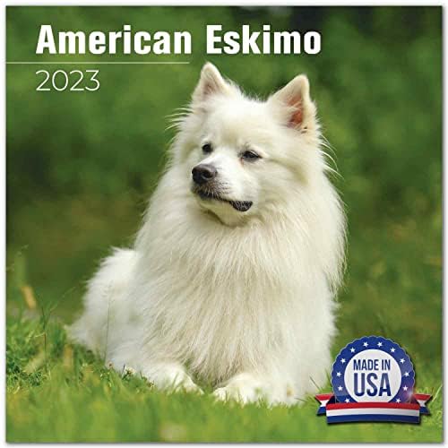 Календар на американската эскимосской куче на 2022 2023 година - Месечен Стенен календар породи кучета - 12 x 24 в прав текст