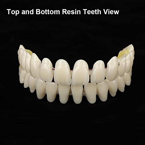 Набор от материали за протезиране за Възстановяване на Липсващи зъби или извършване на пълна протеза със собствените си ръце (материал на венците и зъбите от смола