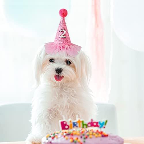 HonpraD Пет Birthday Hat Шапка за рождения Ден на Кучето с Цифрово Украшение за домашни любимци, Красиви Яки (Розово, един размер)