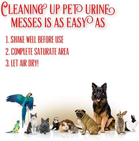 Средство за бързо премахване на миризмата на урина от домашни животни, без мирис - Пречистване, каталитичен конвертор и устранитель миризмата на урина котки и куче?