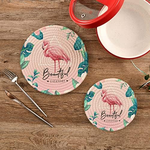 Поставка за прихваток xigua Flamingo Комплект от 2 Топлоустойчива Подложки за декориране на Кухненския плот Подложки за горещи ястия/Тигани/Купи/Чайник/Поставки