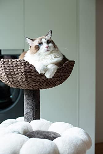 Catry Cat Tree - Woodowoodo - богат на функции на котешка кула с Когтеточкой за котки, Хамак за котки, Кошници за ръчна хартия и Дразнящей играчка