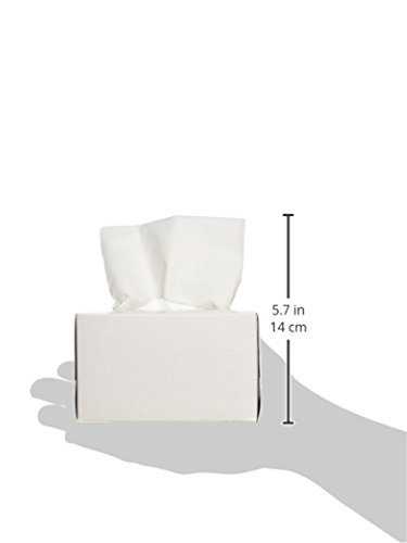Кърпа за изсушаване на лещи на Берк Wiper LT-6001P 1-слойная, 800 кърпички в опаковка, 60 кутии по 280 парчета със защита от