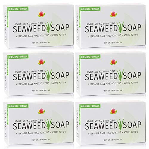 Сапун от морски водорасли Reviva - 6 опаковки - Органичен Ексфолиант за лице от морски Водорасли и Ексфолиращ Скраб за тяло - 4,5 грама. Естественият сапун на растителна о