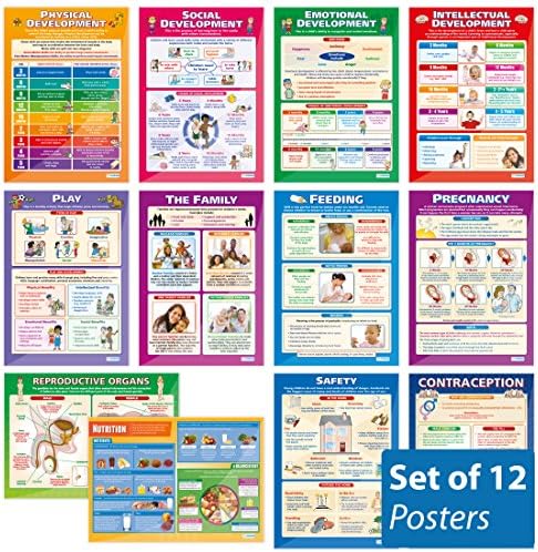 Плакати за развитие на детето – Комплект от 12 листа Гланцирана хартия – 33 x 23,5 – Плакати за образователни училища и класни стаи